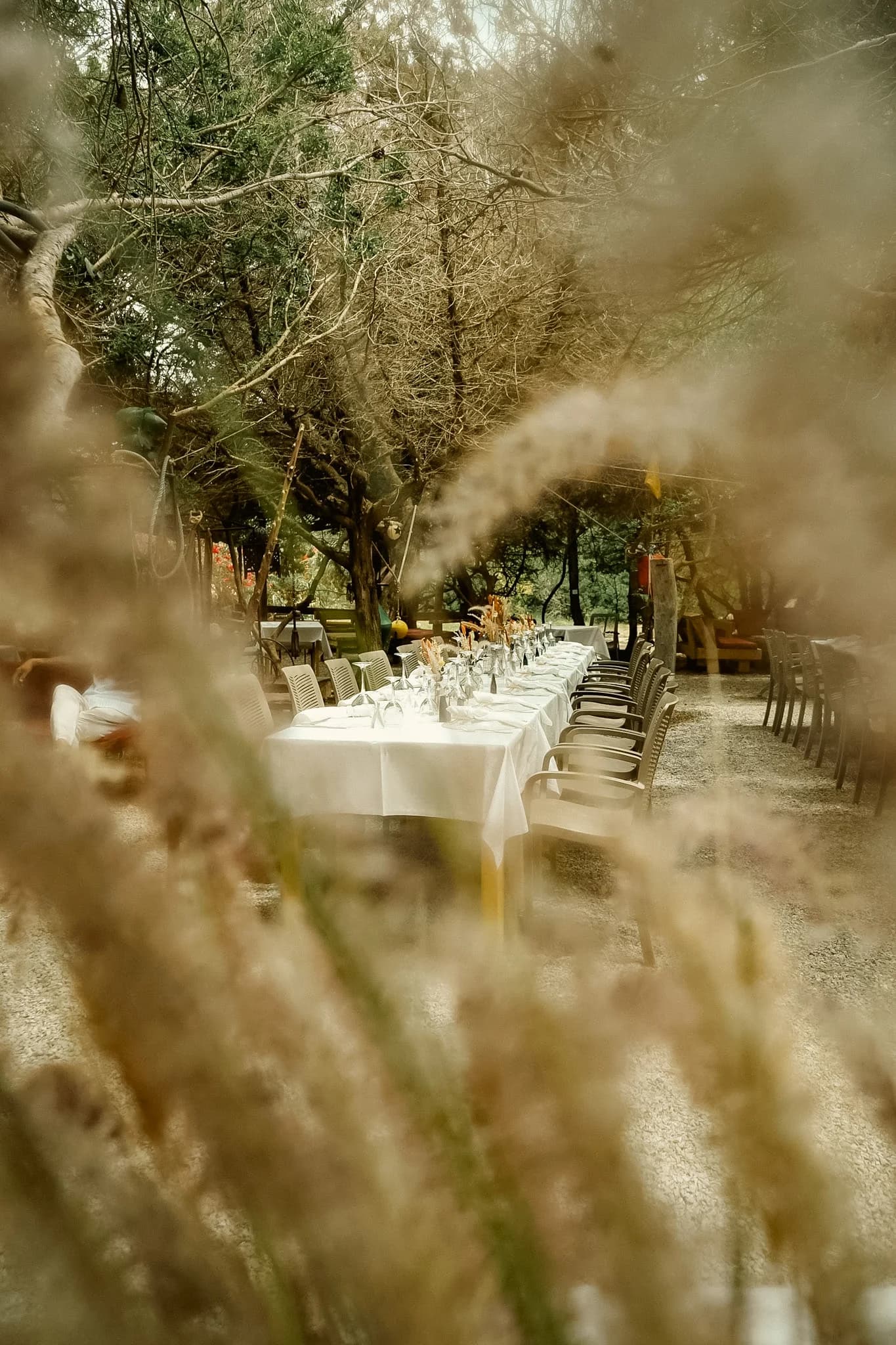 Bodas