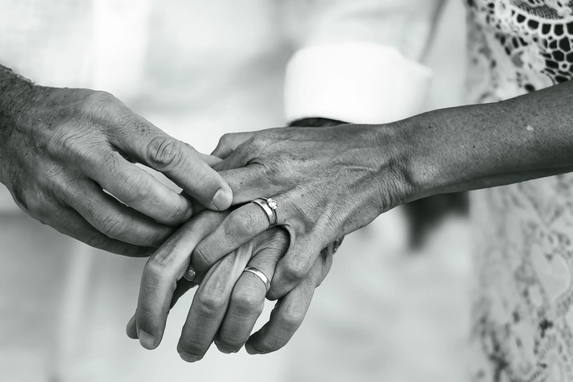Bodas